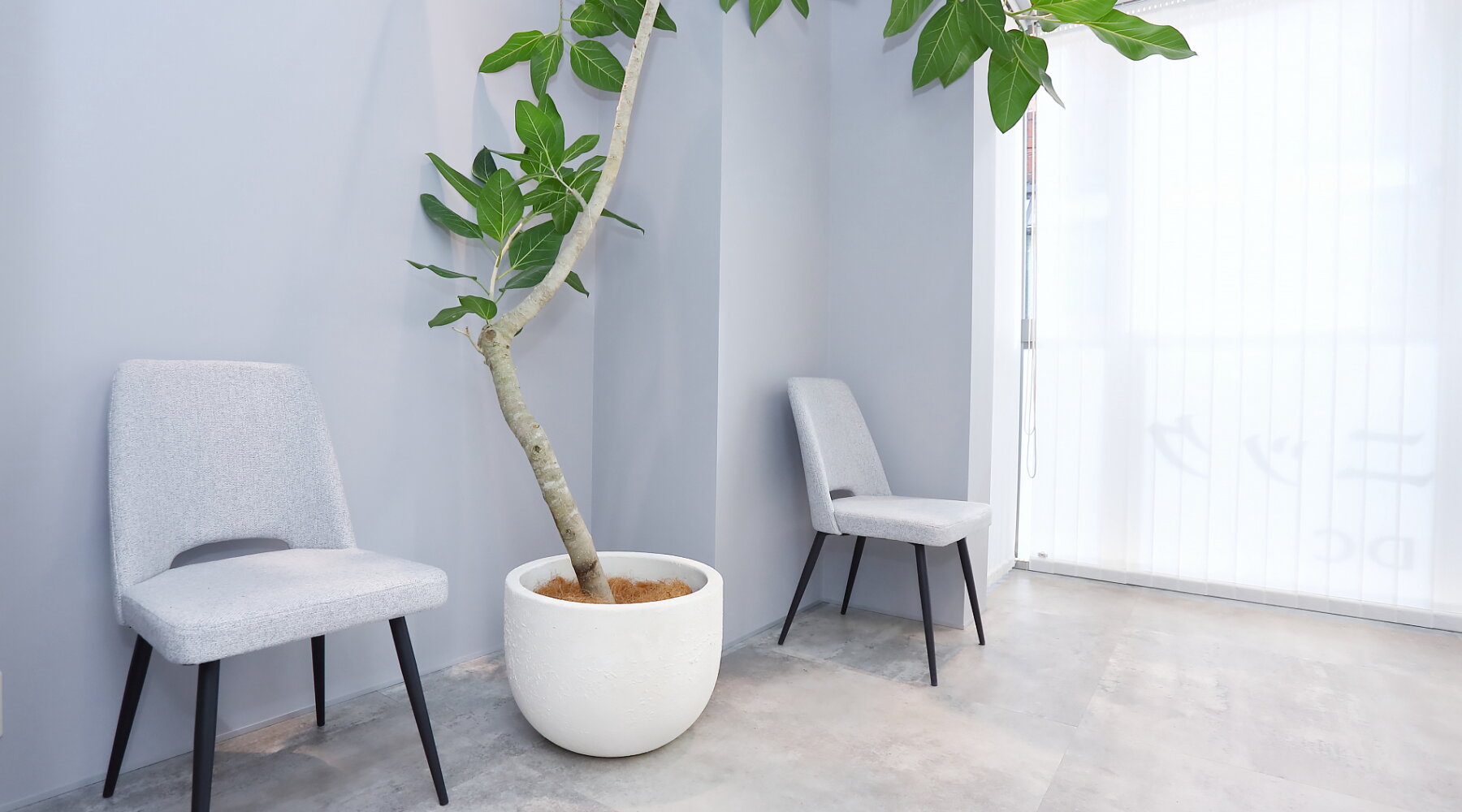 青山表参道矯正歯科クリニック